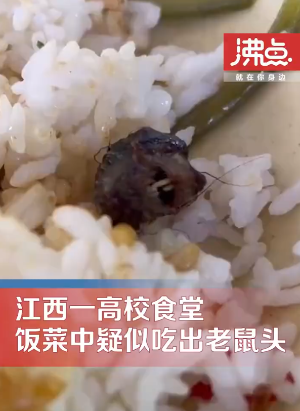 The university's food is suspected to be a rat's head, and the university announced that it was called a duck's neck, which was responded by the Nanchang Municipal Supervision Bureau