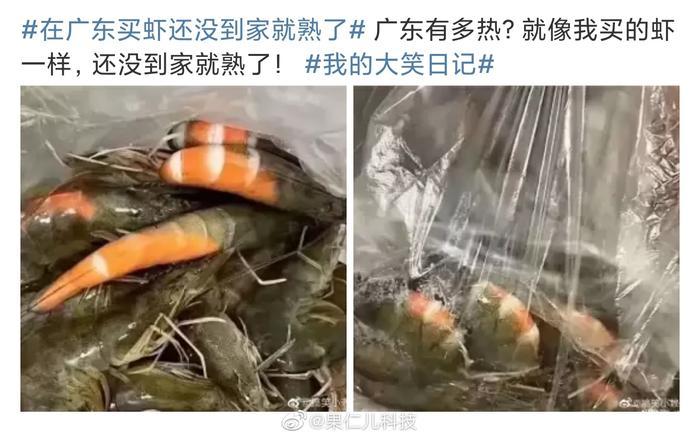 真的很热，可别说虾了，我都快熟了