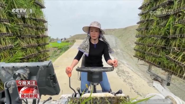 孙鸿：驰骋田间的女农机手