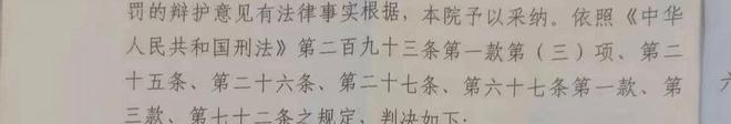 村民搭浮桥收费被判寻衅滋事