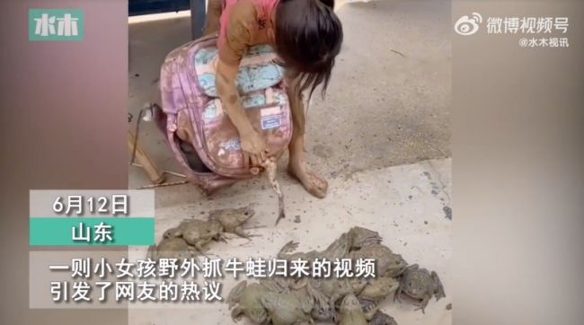 女孩抓蛙一身泥巴被妈妈逮到