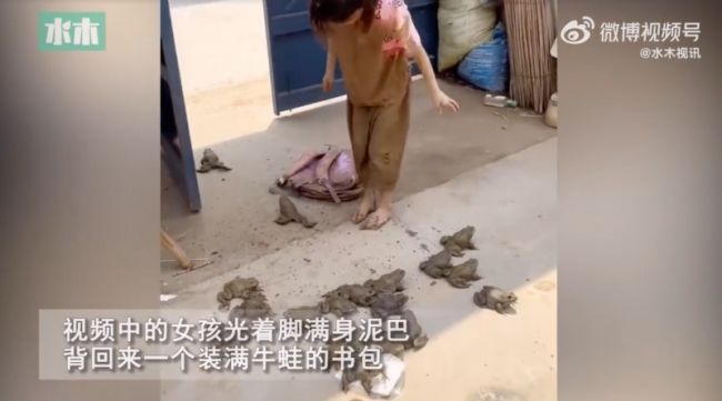 女孩抓蛙一身泥巴被妈妈逮到