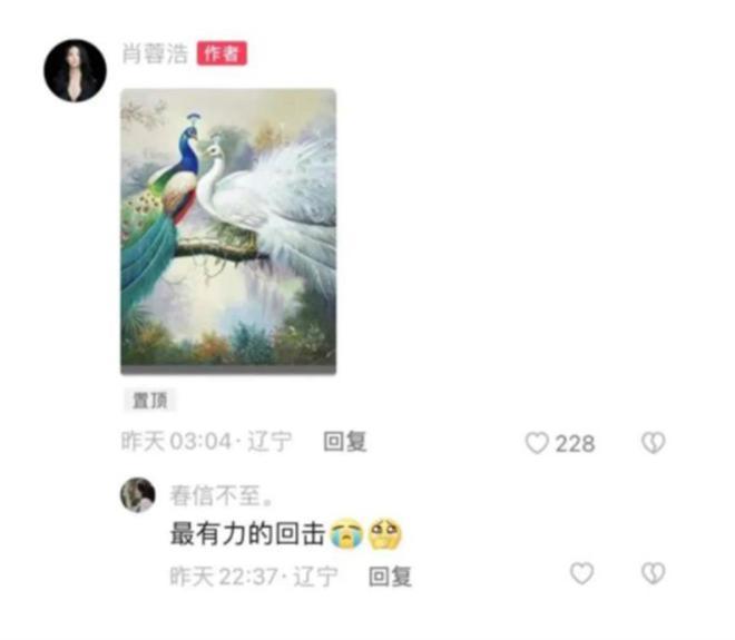 杨丽萍爱徒跳孔雀舞被批不雅，空口鉴“不雅”才是真的不雅