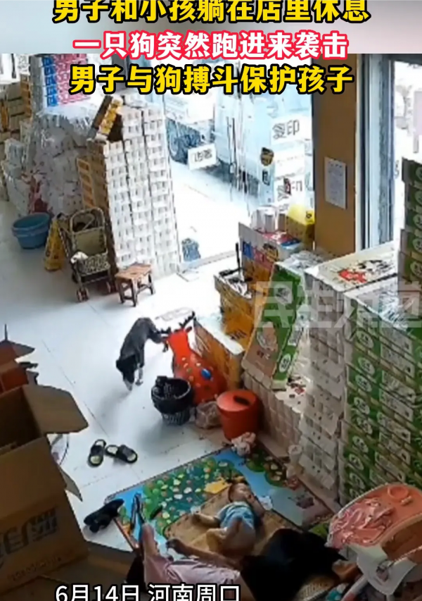 狗进店欲袭击被男子瞬间制服
