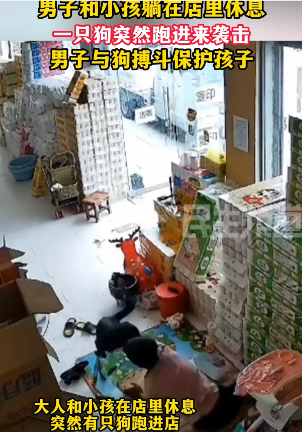 狗进店欲袭击被男子瞬间制服