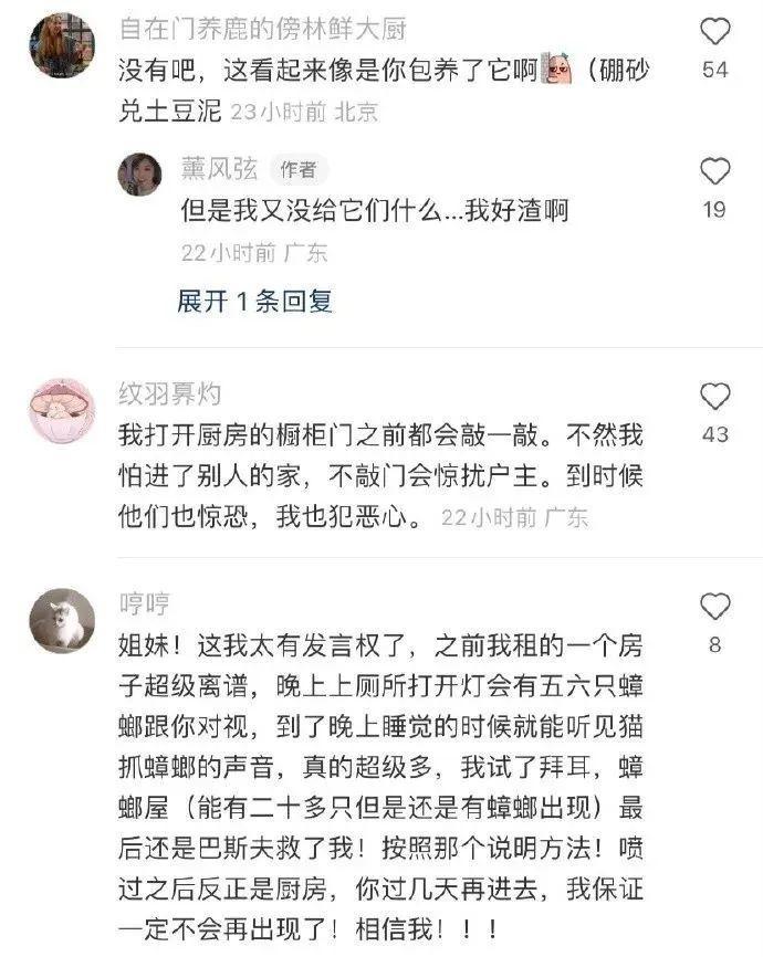 郭碧婷好像油画里走出来的人