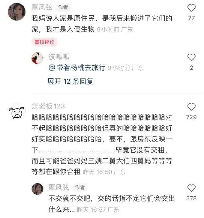 郭碧婷好像油画里走出来的人