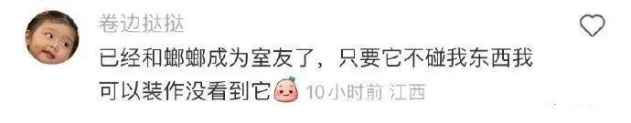 郭碧婷好像油画里走出来的人