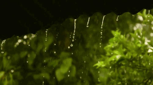 上海明天入梅！18~19日将有大到暴雨过程，主要降水时段在18日下午到19日早晨