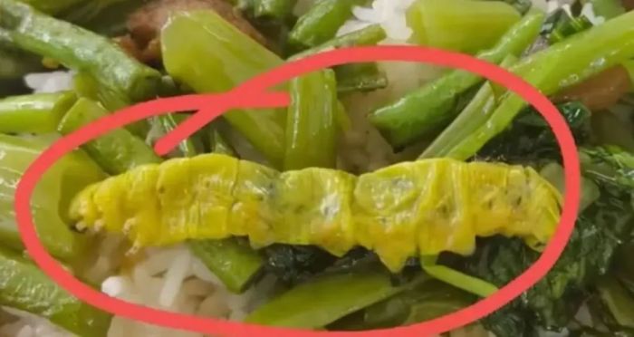 鼠头鸭脖事件异物为老鼠头