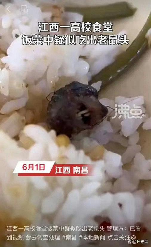一颗老鼠头为何要省级调查组才能查清？