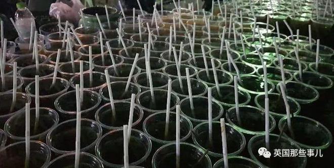 泰国男子喜中千万彩票大奖，在公墓摆200桌酒席，犒赏鬼魂？？