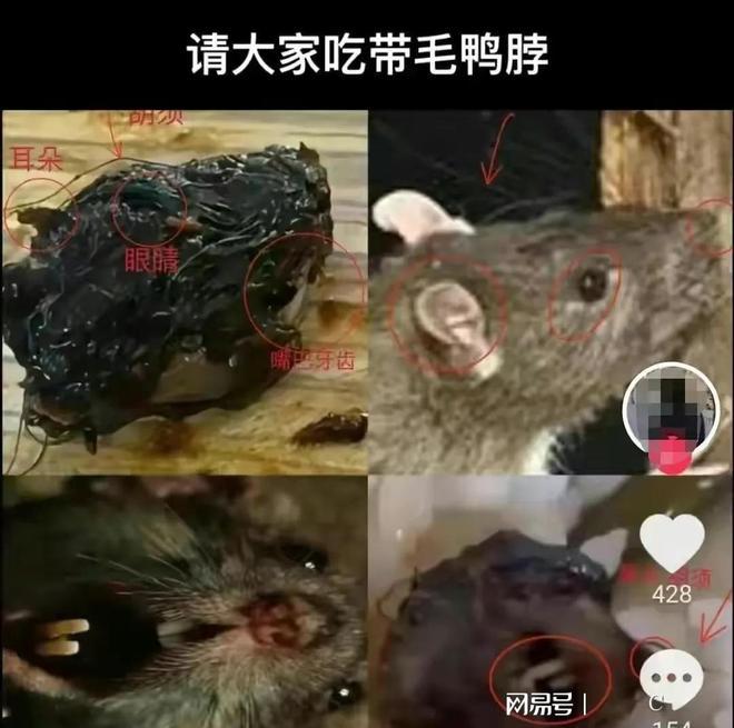 江西官方的结论是老鼠头,缺乏事实依据,有悖法治精神