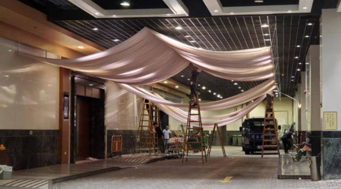 蔡天凤丈夫花200万港币修复遗体
