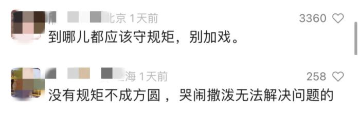 女子在上海迪士尼崩溃大哭，指责员工不近人情：在北京不会这样。网友：“这个锅北京人不背”