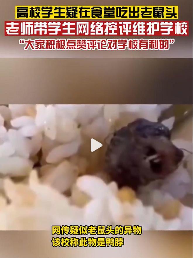 树欲静而风不止，鼠头鸭脖事件再添新内幕！食堂每月被大量投诉