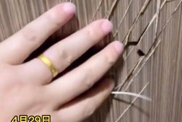 江苏男子遭妻子家暴，拍视频诉苦反被女网友质问：你不反思一下？