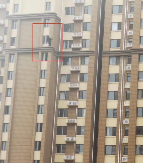 警方通报“儿童从29楼坠楼”案：孩子和母亲经抢救无效死亡