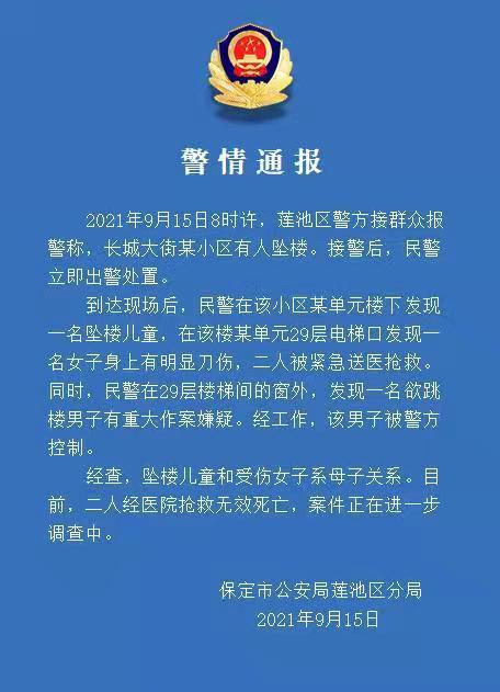 警方通报“儿童从29楼坠楼”案：孩子和母亲经抢救无效死亡
