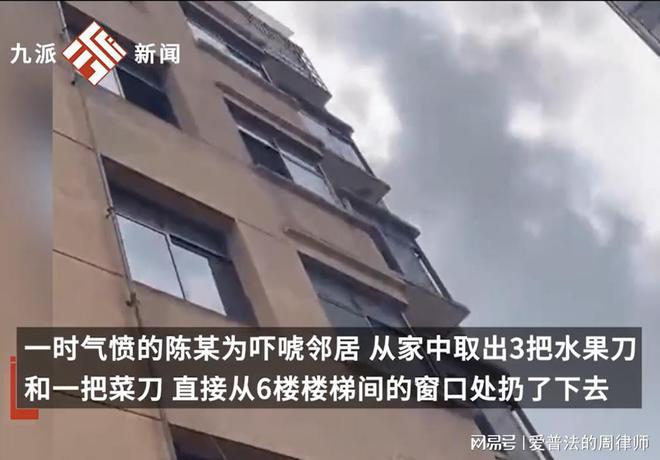 女子为吓唬邻居自6楼扔下4把刀，涉嫌高空抛物罪被刑拘，后悔不已