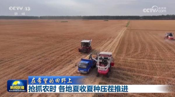 抢抓农时各地夏收夏种压茬推进