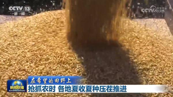 抢抓农时各地夏收夏种压茬推进
