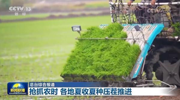 抢抓农时各地夏收夏种压茬推进