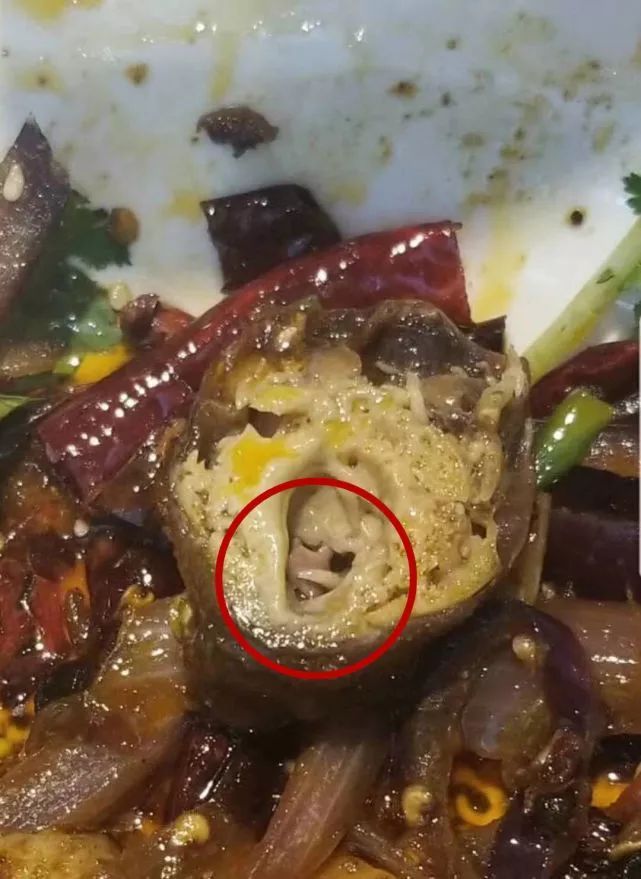 令人作呕！深圳一连锁餐厅麻辣香锅现活蛆，发现时还在蠕动……

