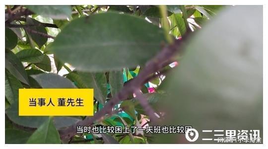 男子凌晨路边睡着手机被偷走，手机中有亡母照片希望归还