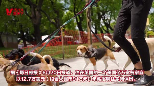 美国亿万富翁年薪91万元招狗保姆
