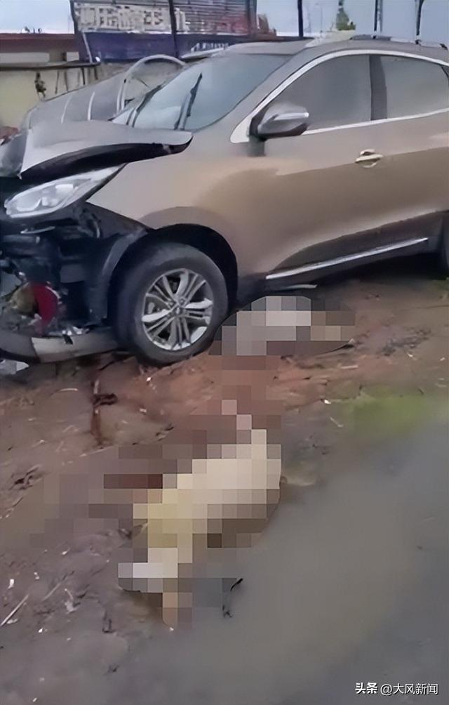 内蒙古一越野车冲进羊群撞死20只羊，主人索赔6万，赤峰交警：所幸人没事保险公司赔付