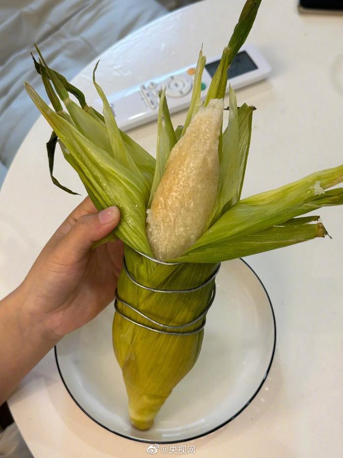 这粽子是犯了天条吗被绑成这样