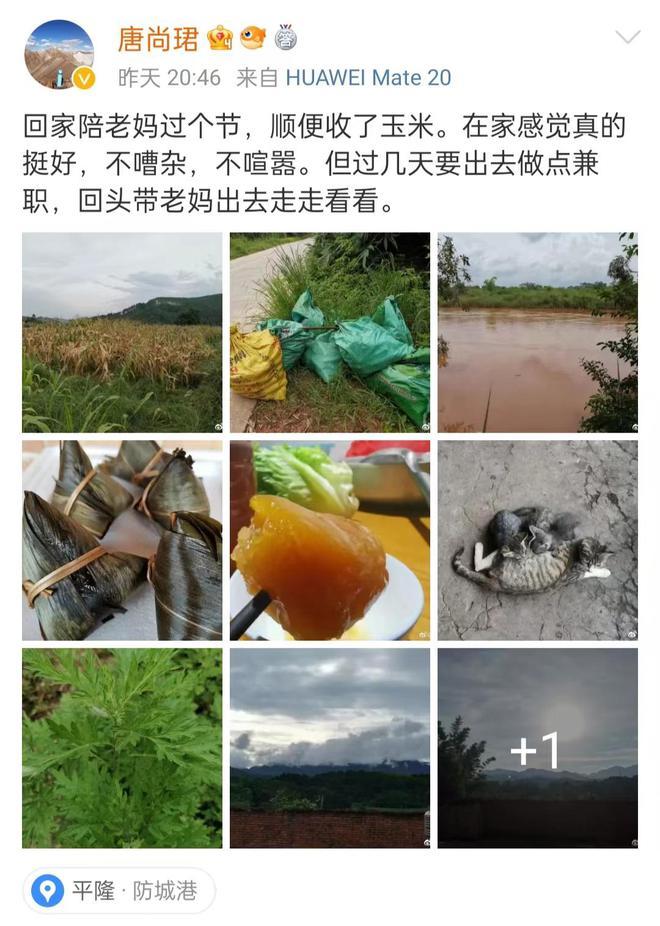 网传考生唐尚珺662分，实际有多处破绽，真实成绩有待其本人公开