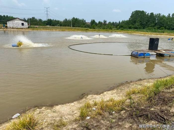 家里做水产养殖，高考分数已公布，现在就接班还是先去上大学？

