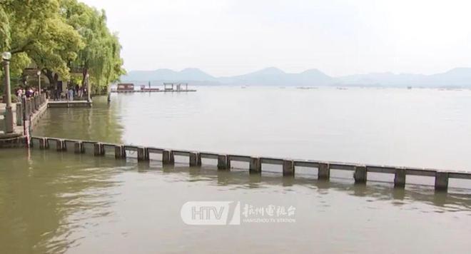 见者好运！杭州西湖“鱼跃龙门”频现，原来是因为→