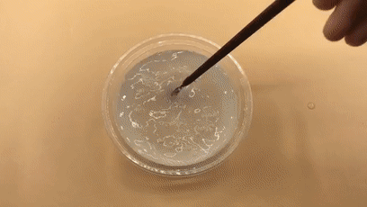 把风油精和牙膏放在水里泡一泡，原来这么好用！后悔现在才知道
