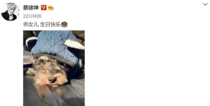 疑蔡徐坤母亲安排女方堕胎录音曝光