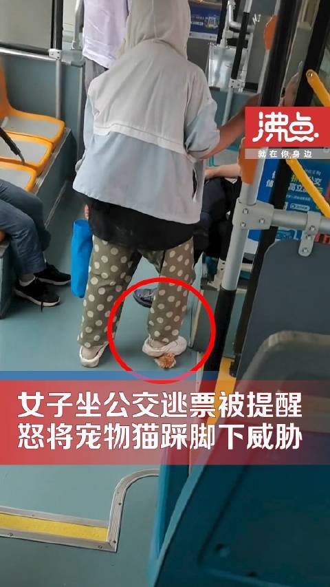 女子坐公交逃票不成将猫踩脚下威胁司机：让下车就把猫踩死