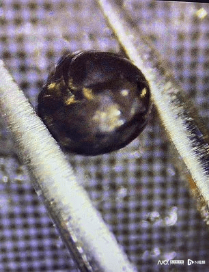 哈佛物理学家从太平洋底打捞起流星碎片，称或是外星飞船残骸

