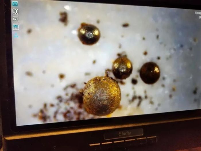 哈佛顶级物理学家称他可能发现了“外星飞船”残骸