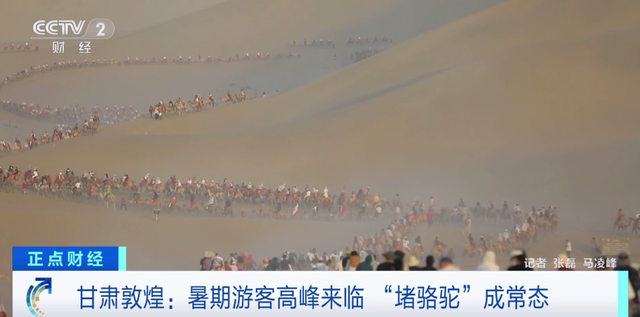 敦煌又双叒叕堵骆驼了