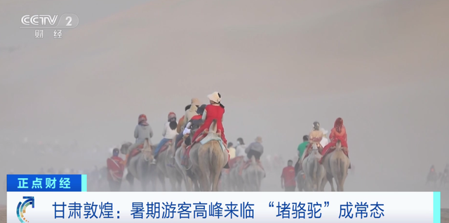 敦煌又双叒叕堵骆驼了