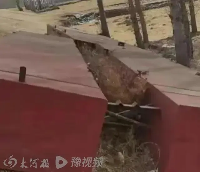 私搭浮桥一家18口获刑生活被毁