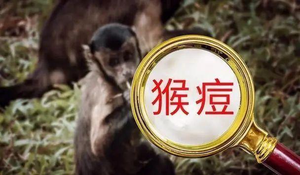 猴痘普通人感染几率大吗
