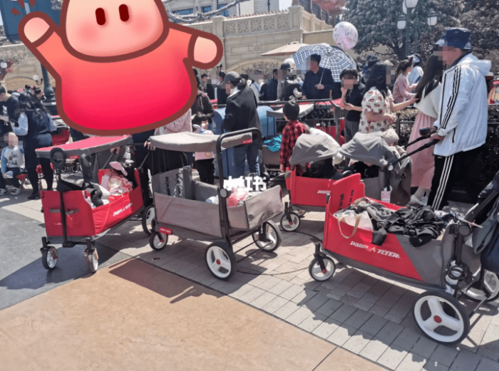 北京故宫、上海迪士尼双双提醒：这类物品禁入！

