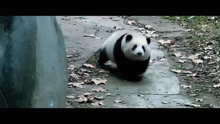 成都大运会倒计时20天