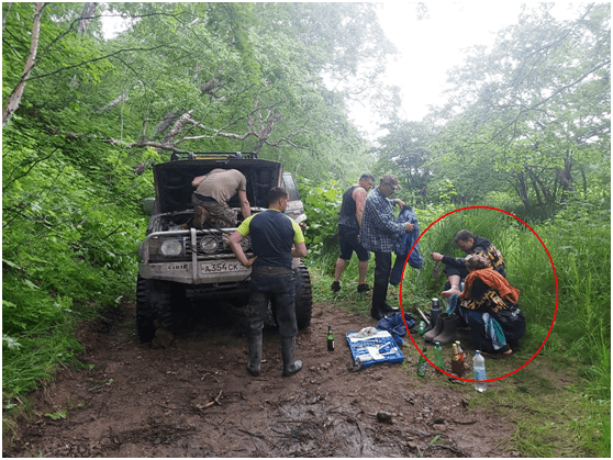 夫妇自驾旅游却遭遇棕熊袭击，二人躲在树上10天后才获救