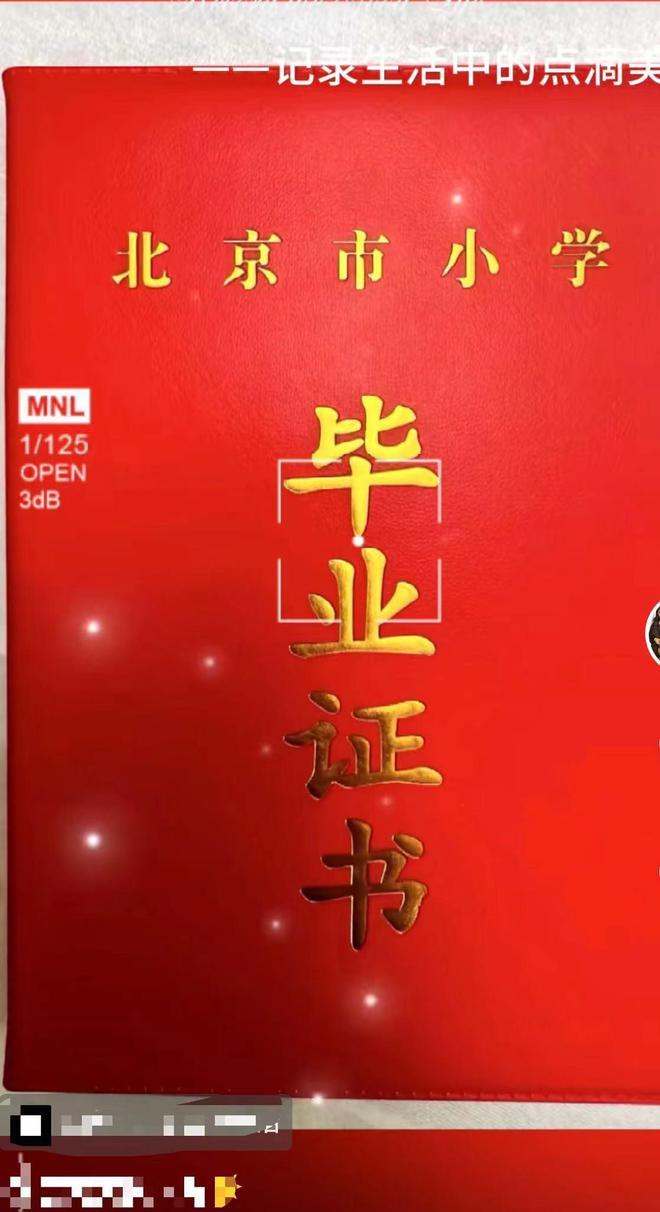 蔡国庆儿子全科免考毕业！身高猛长高颜值似妈，与亲弟共用一张脸