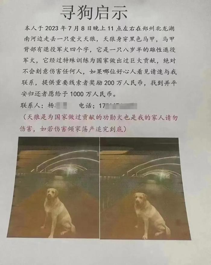 悬赏千万的狗已找到