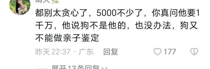悬赏千万的狗已找到